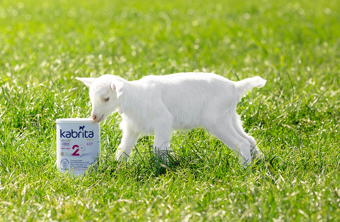 Белый козлёнок стоит рядом с банкой Kabrita Gold 2 на зелёном лугу — смеси Kabrita® производятся из молока коз зааненской породы, выращиваемых на чистых пастбищах Нидерландов
