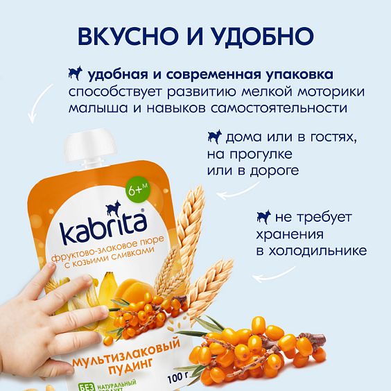 Kabrita<r></r> Мультизлаковый пудинг с облепихой